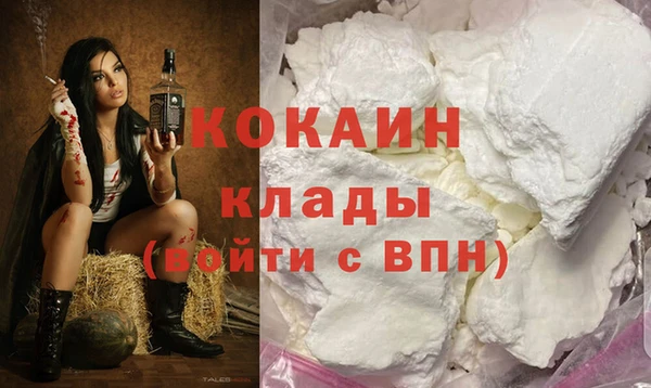 PSILOCYBIN Белокуриха