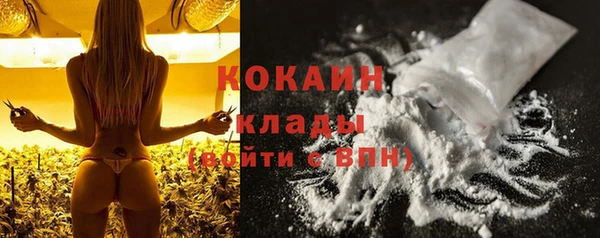 PSILOCYBIN Белокуриха