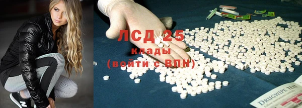 PSILOCYBIN Белокуриха