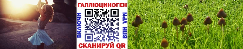 Псилоцибиновые грибы GOLDEN TEACHER Купить Краснотурьинск